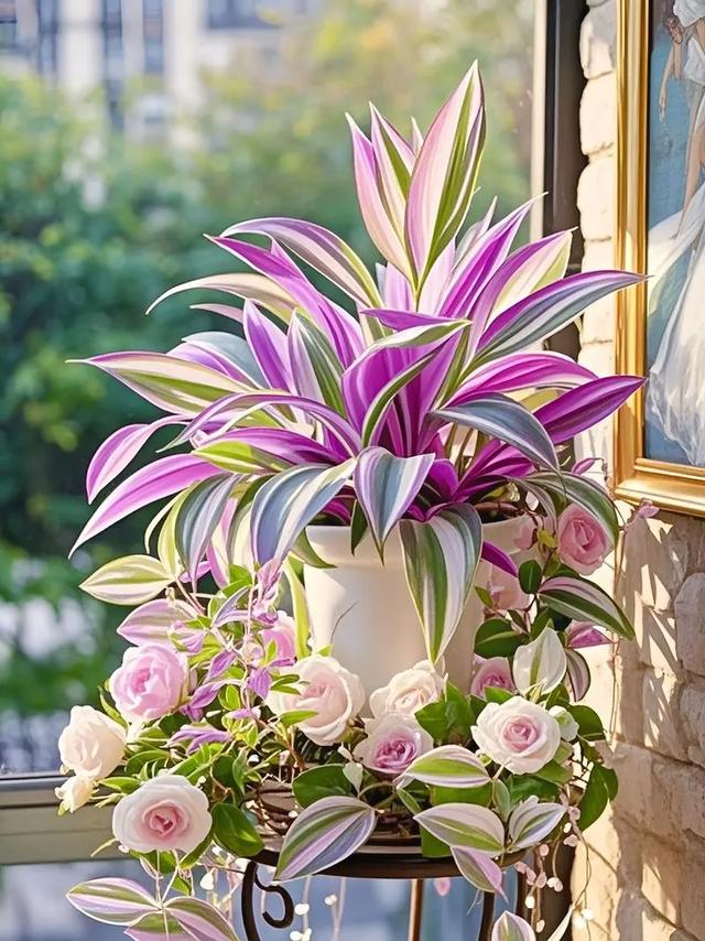 Internet celebrity plants Internet celebrity plants