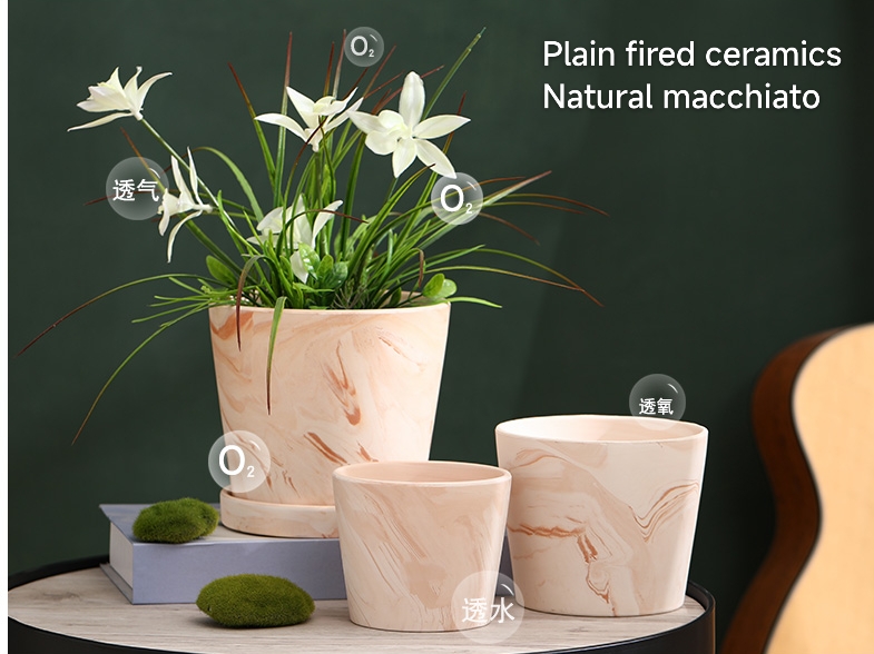 flower pot flower pot