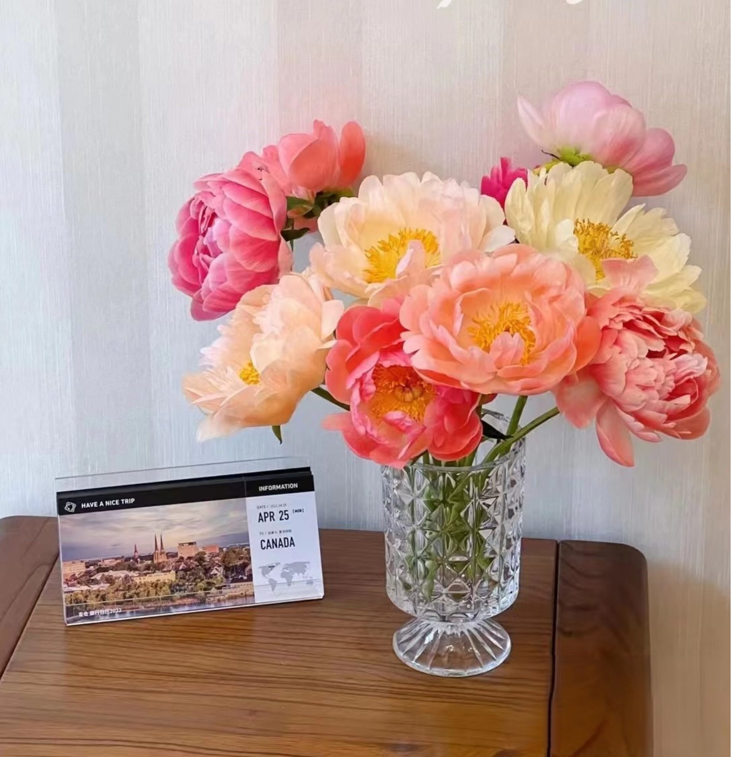 Fresh-cut-Chinese peony - Image 14