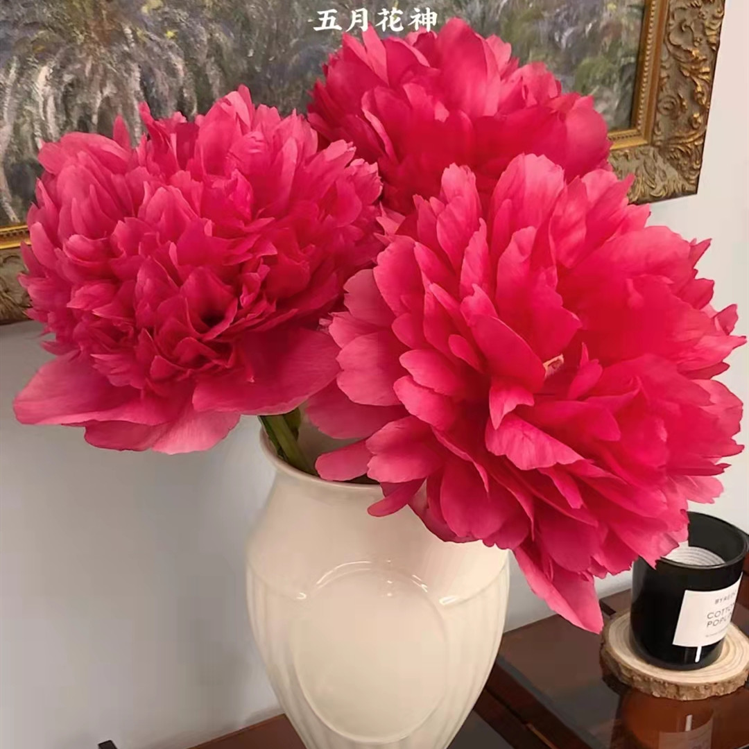 Fresh-cut-Chinese peony - Image 7