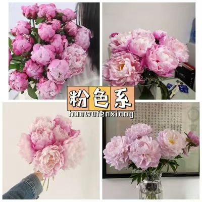 Fresh-cut-Chinese peony - Image 3