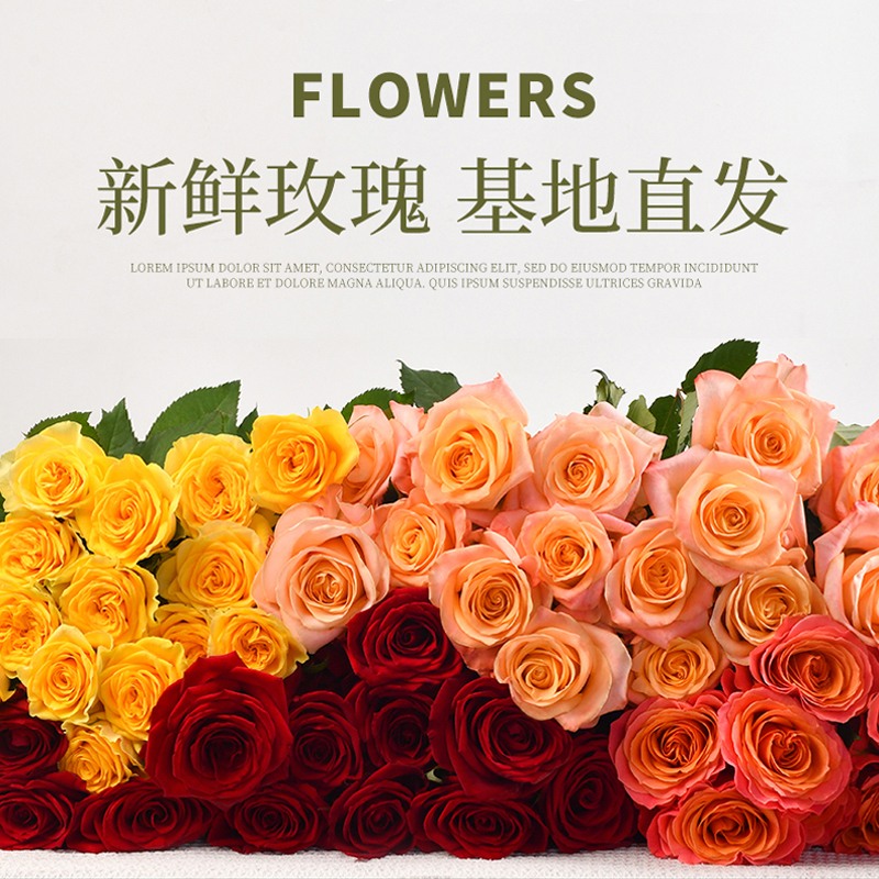 Fresh-cut-rose - Image 2