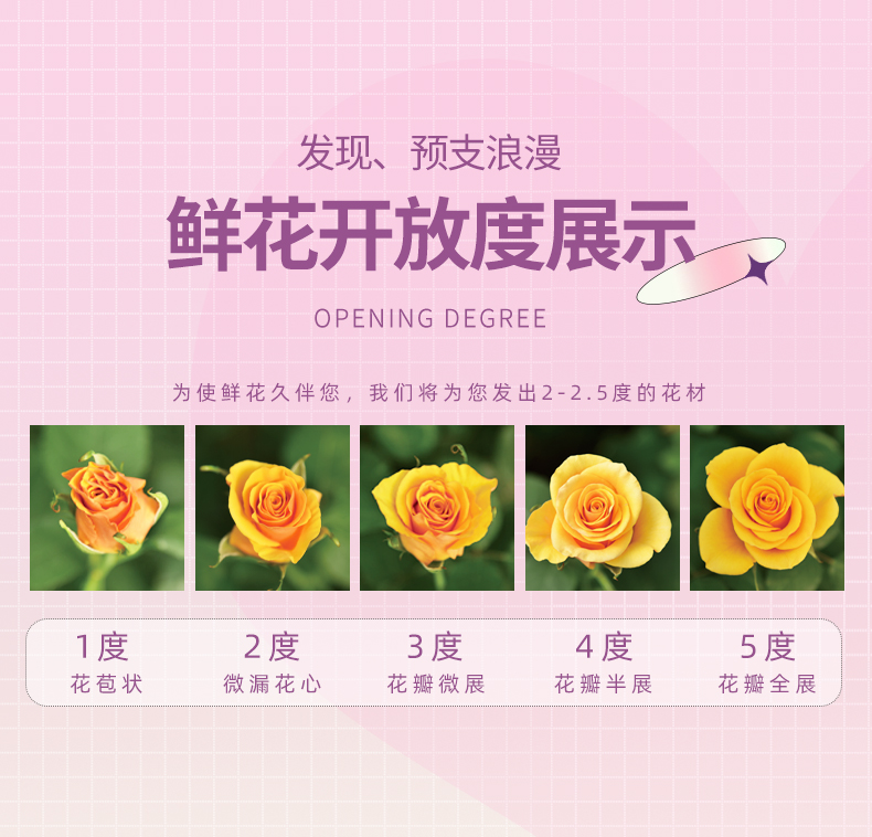 Fresh-cut-rose - Image 7