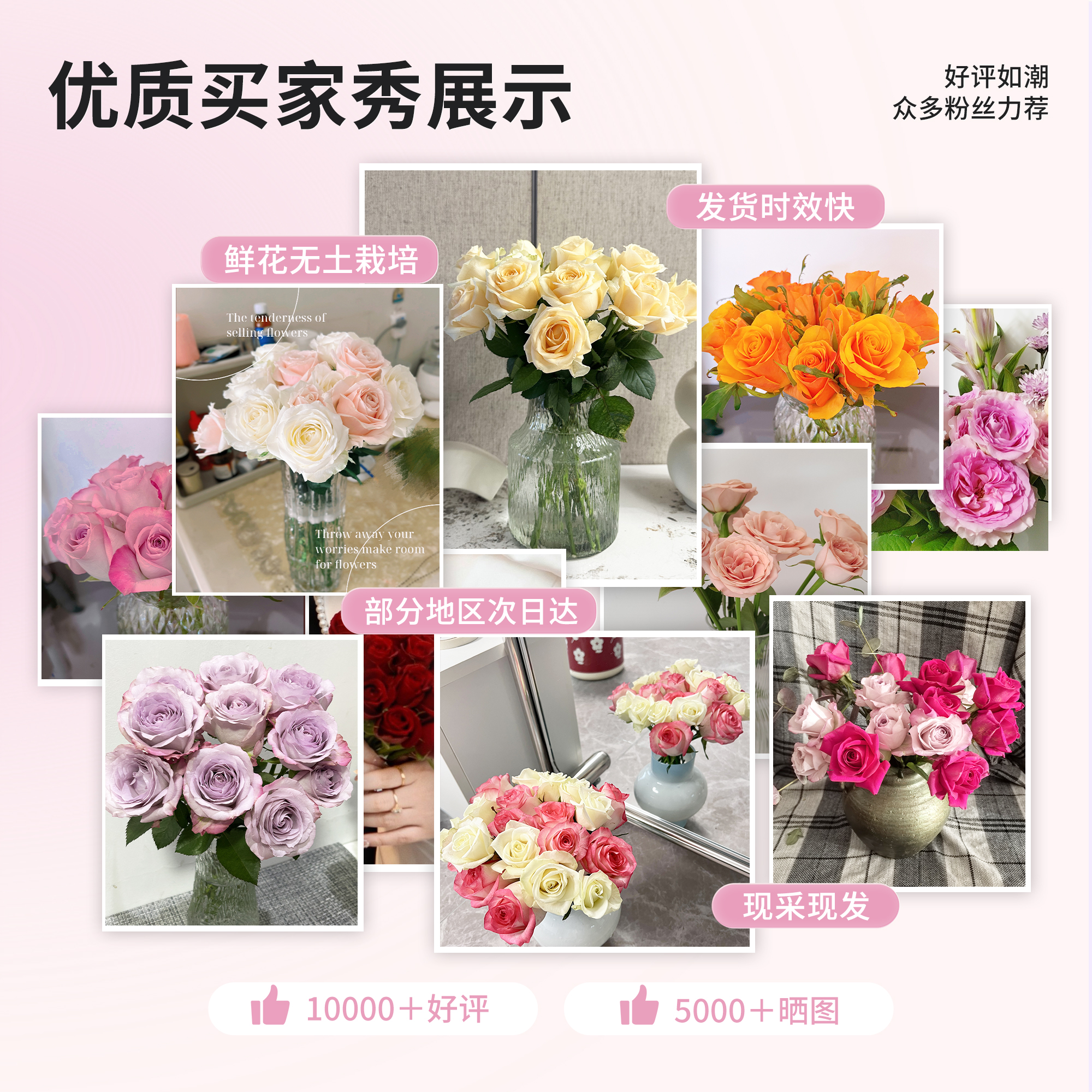 Fresh-cut-rose - Image 3