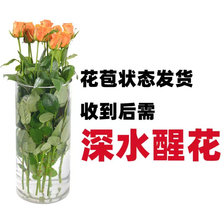 Fresh-cut-rose - Image 8