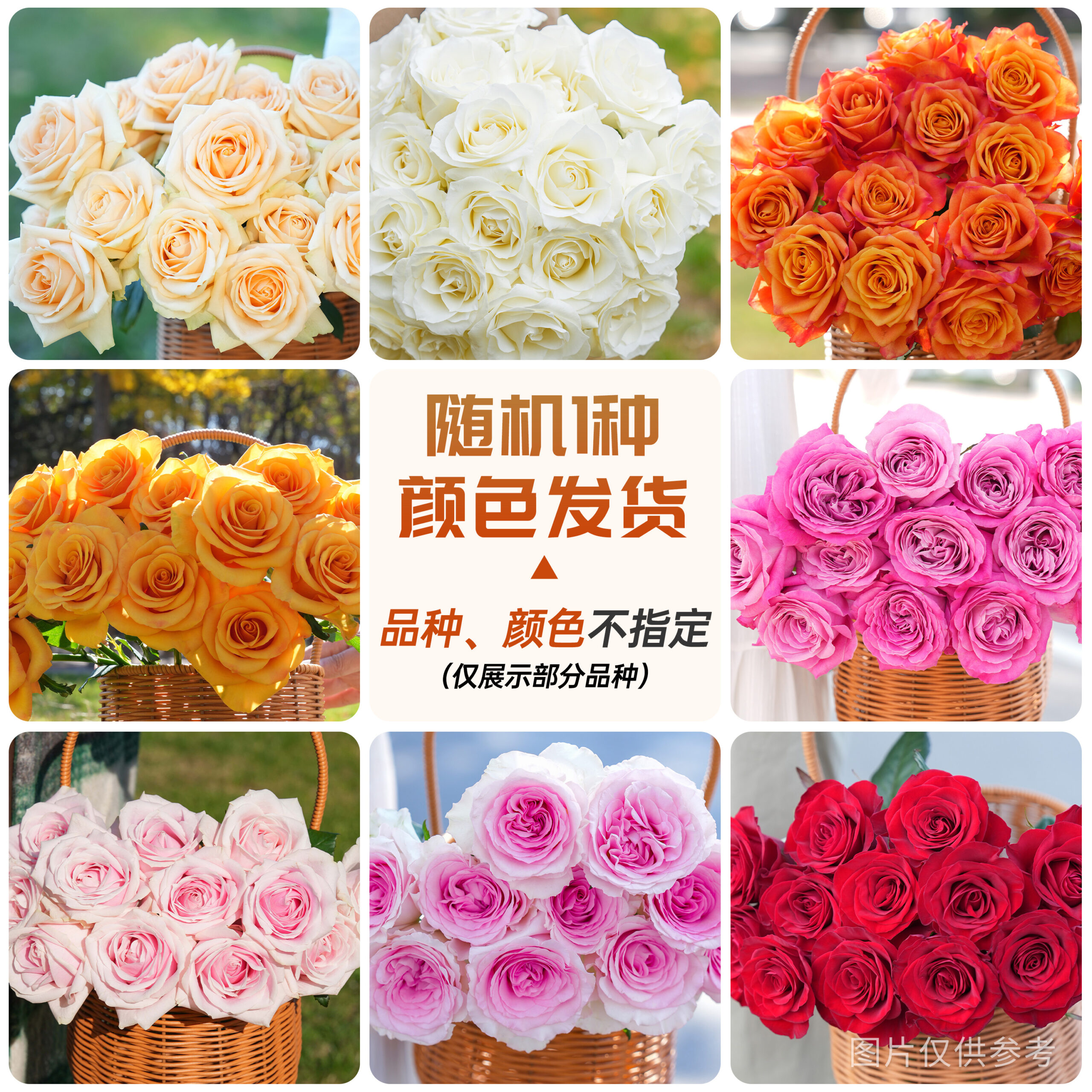 Fresh-cut-rose - Image 9