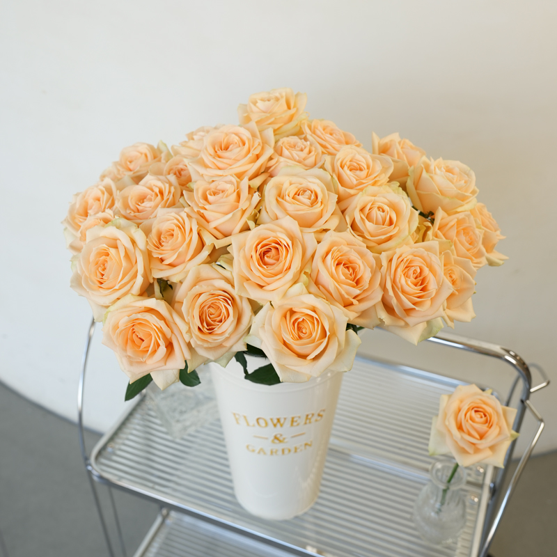 Fresh-cut-rose - Image 4