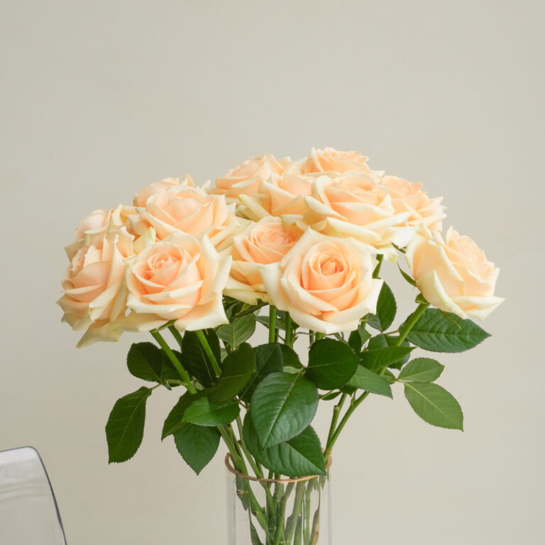 Autumn Gardening Must-Have List! 14 Divine Plants, Plant Them Now and You’ll Get a Healing Garden!