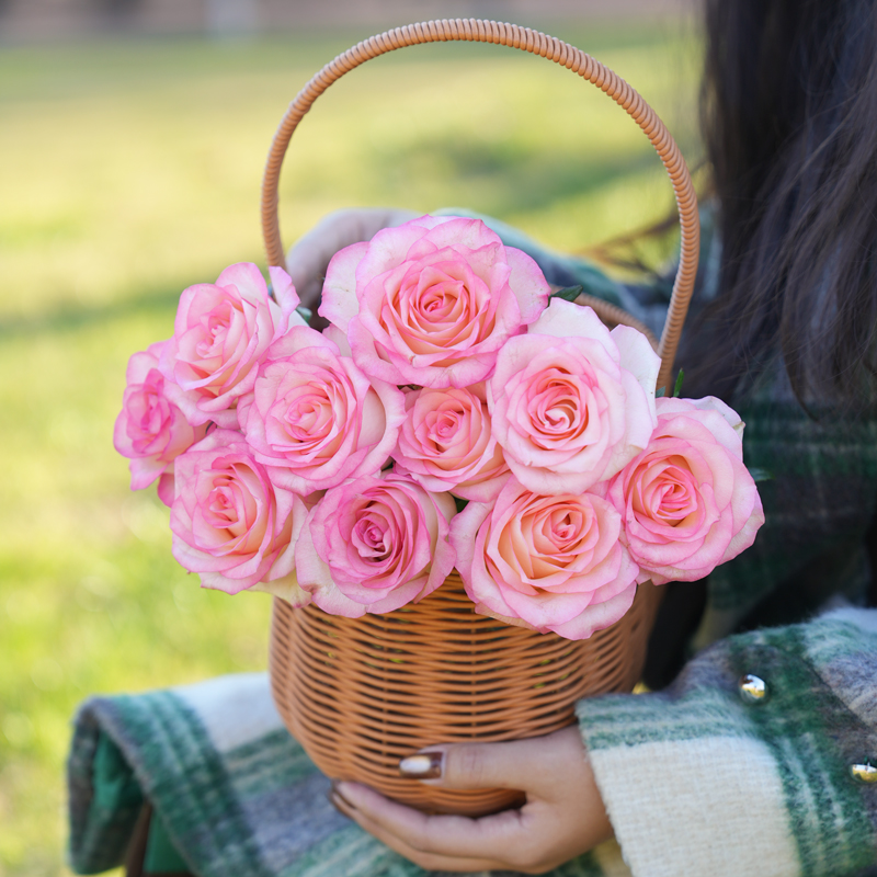 Dress up your home: Fresh-cut-rose
