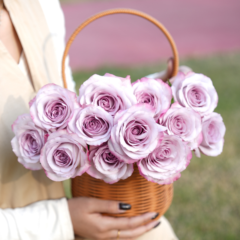 Fresh-cut-rose - Image 5