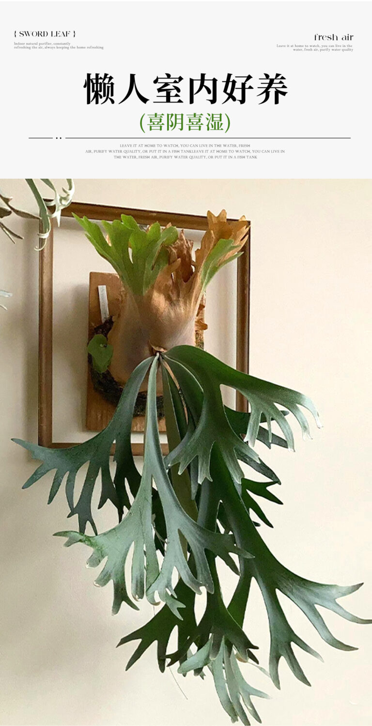 110 balconies are in full bloom! This “Most Beautiful Balcony” competition has brought the dream of a garden city to life.