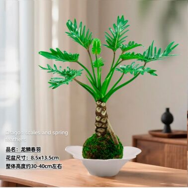 Kokedama